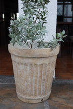 Load image into Gallery viewer, Orla Planter (Small, Medium, Large)