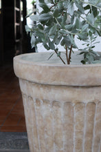 Load image into Gallery viewer, Orla Planter (Small, Medium, Large)