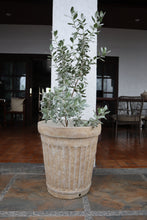 Load image into Gallery viewer, Orla Planter (Small, Medium, Large)