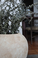 Load image into Gallery viewer, Harbor Textured Planter in Beige
