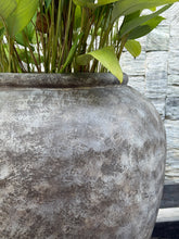 Load image into Gallery viewer, Opal Planter