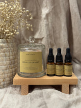 Load image into Gallery viewer, Himalayan Diffuser Set - Clear