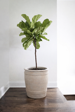 Load image into Gallery viewer, Lavinia Extra Large Planter