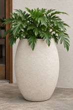 Load image into Gallery viewer, Ada Planter