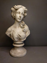 Load image into Gallery viewer, Venus Bust