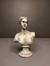 Load image into Gallery viewer, Venus de Milo