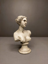 Load image into Gallery viewer, Venus de Milo