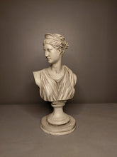 Load image into Gallery viewer, Diana of Versailles
