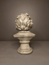 Load image into Gallery viewer, Albert Einstein