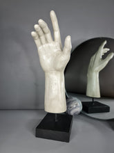 Load image into Gallery viewer, Hand Sculpture