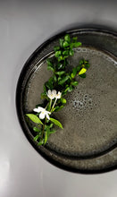 Load image into Gallery viewer, Japanese Inspired Plate Set