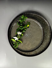 Load image into Gallery viewer, Japanese Inspired Plate Set