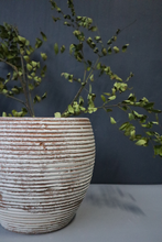 Load image into Gallery viewer, Eloise Rustic Clay Jar