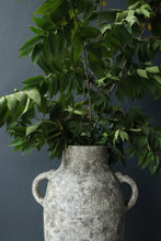 Load image into Gallery viewer, Tabitha Rustic Clay Jar