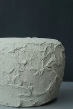 Load image into Gallery viewer, Cordelia Vase