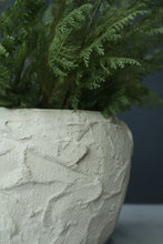 Load image into Gallery viewer, Cordelia Vase