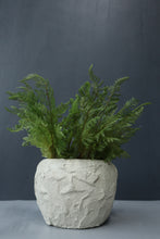 Load image into Gallery viewer, Cordelia Vase