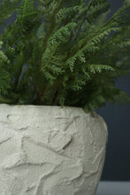 Load image into Gallery viewer, Cordelia Vase