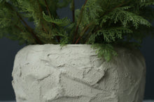 Load image into Gallery viewer, Cordelia Vase