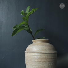 Load image into Gallery viewer, Harper Jar in Beige