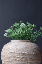 Load image into Gallery viewer, Silas Clay Jar in Beige