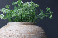 Load image into Gallery viewer, Silas Clay Jar in Beige