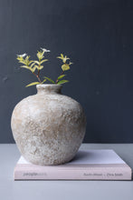 Load image into Gallery viewer, Stella Clay Jar in Brown