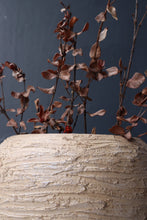 Load image into Gallery viewer, Mae Vase in Beige