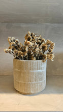Load image into Gallery viewer, Dorothy Vase
