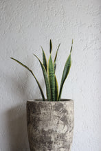 Load image into Gallery viewer, Vernon Planter
