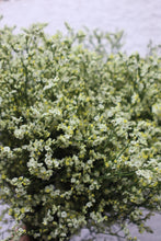 Load image into Gallery viewer, Misty Flowers - Yellow
