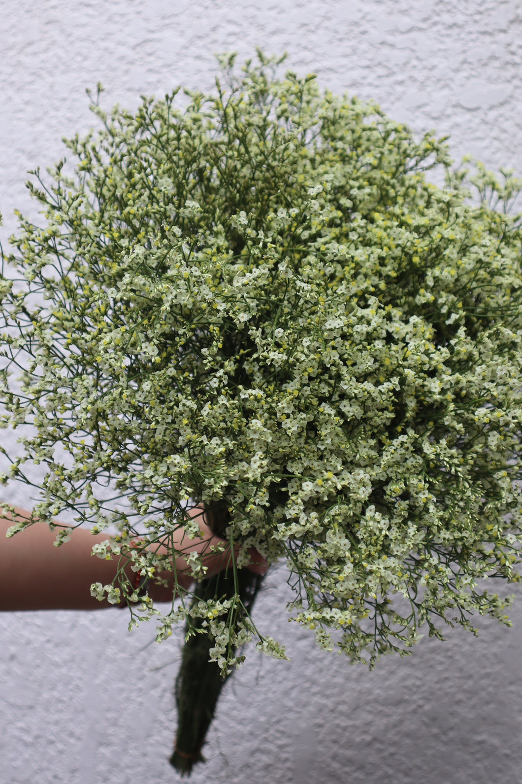 Misty Flowers - Yellow