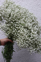 Load image into Gallery viewer, Gypsophilia Flowers
