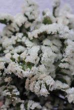 Load image into Gallery viewer, Statice Flowers -  White
