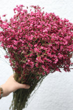 Load image into Gallery viewer, Misty Flowers - Violet
