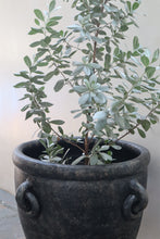 Load image into Gallery viewer, Bastion Planter in Black
