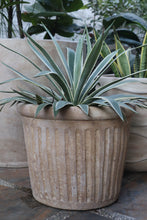 Load image into Gallery viewer, Orla Planter (Small, Medium, Large)
