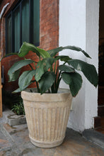 Load image into Gallery viewer, Orla Planter (Small, Medium, Large)
