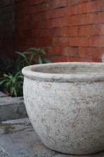 Load image into Gallery viewer, Walter Planter in Beige Textured
