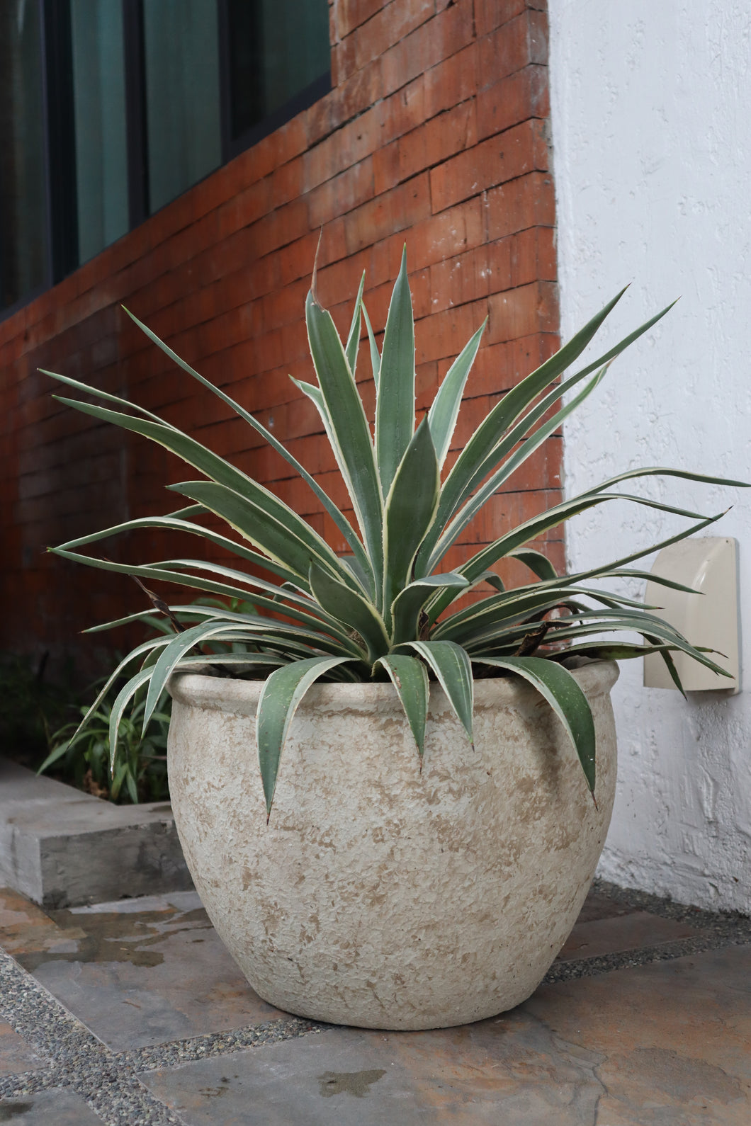 Walter Planter in Beige Textured