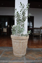Load image into Gallery viewer, Orla Planter (Small, Medium, Large)
