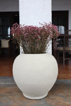Load image into Gallery viewer, Harbor Textured Planter in White

