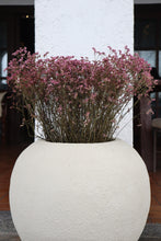 Load image into Gallery viewer, Harbor Textured Planter in White
