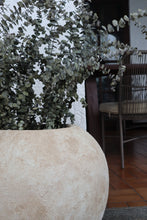 Load image into Gallery viewer, Harbor Textured Planter
