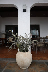 White Beige