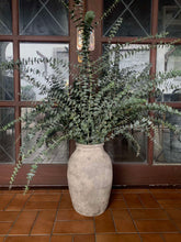 Load image into Gallery viewer, Fresh Eucalyptus
