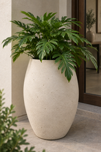 Load image into Gallery viewer, Ada Planter
