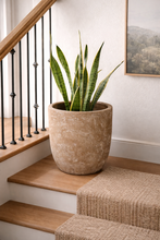 Load image into Gallery viewer, Lira Planter
