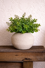 Load image into Gallery viewer, Clarabelle in White
