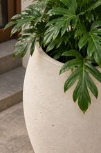 Load image into Gallery viewer, Ada Planter
